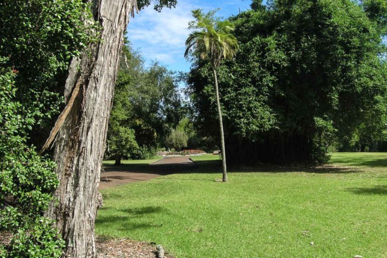 Auckland City Domain