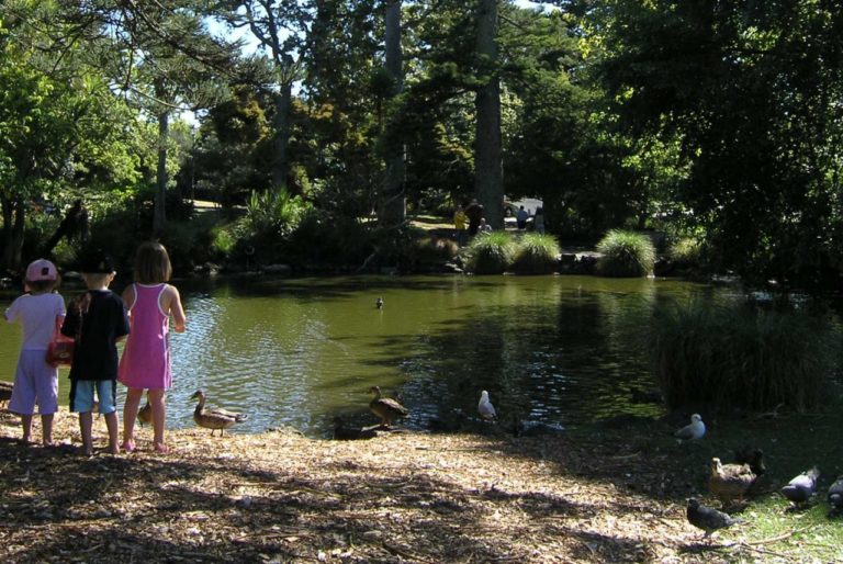 Auckland City Domain