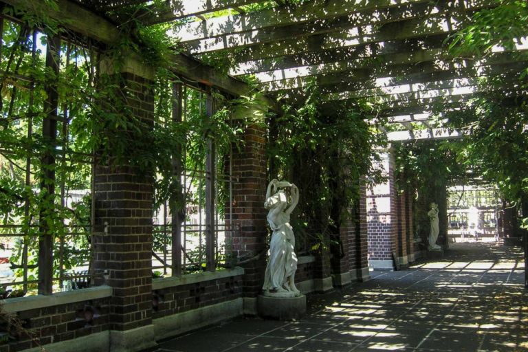 Auckland City Domain