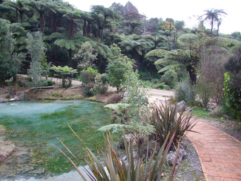 Te Puna Quarry Park Walk