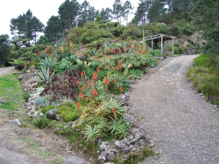 Te Puna Quarry Park Walk