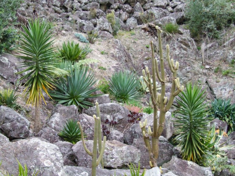 Te Puna Quarry Park Walk