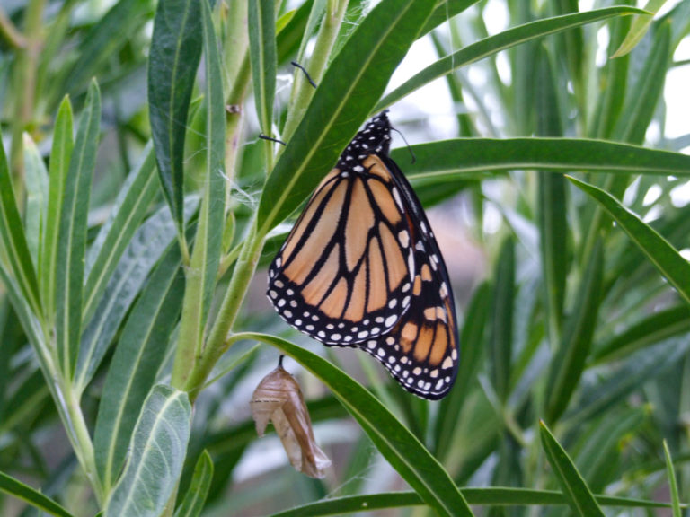 Te Puna Quarry Park Walk
