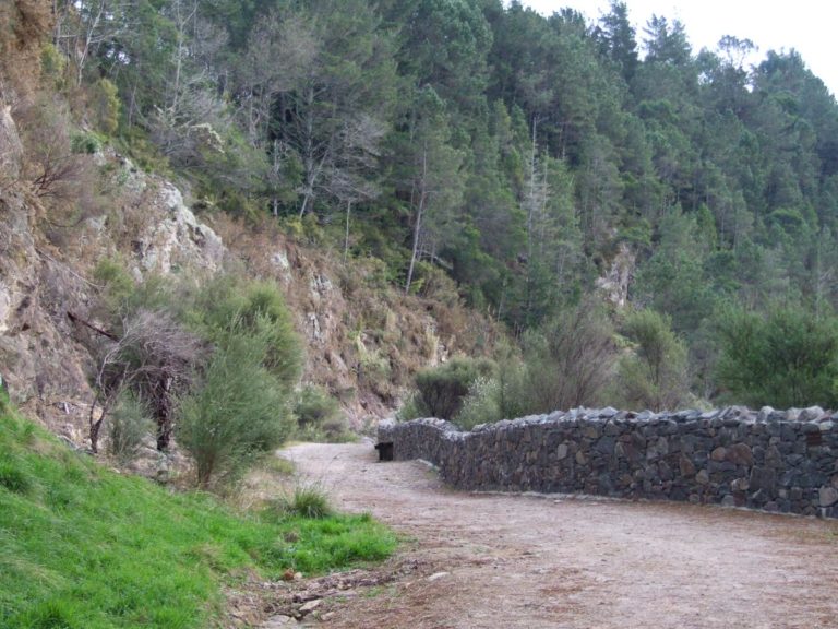 Te Puna Quarry Park Walk