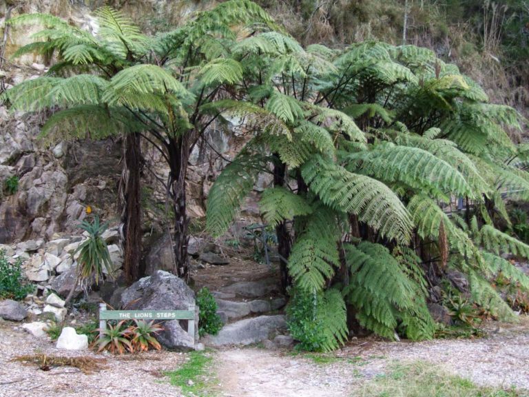 Te Puna Quarry Park Walk