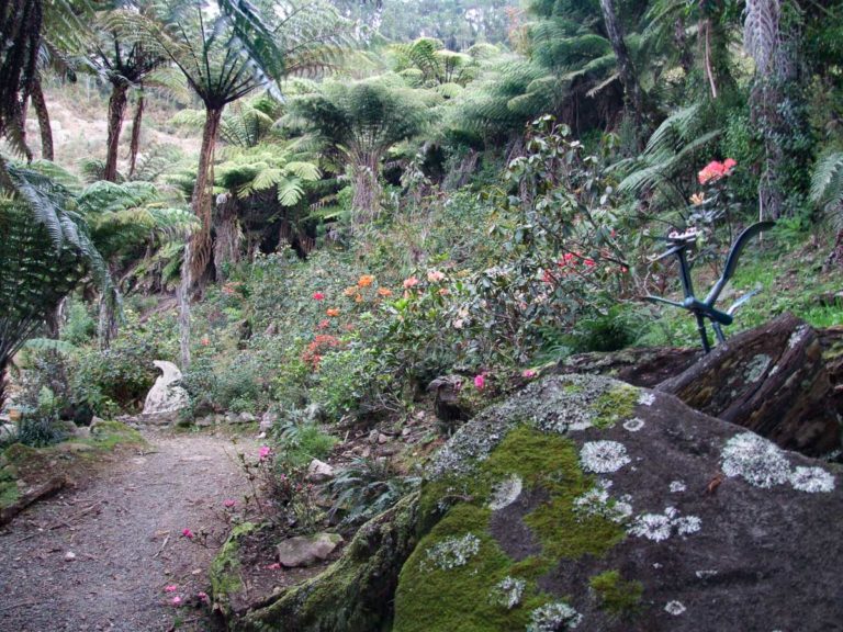 Te Puna Quarry Park Walk