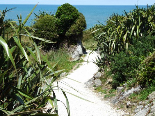 Cape Foulwind Walk