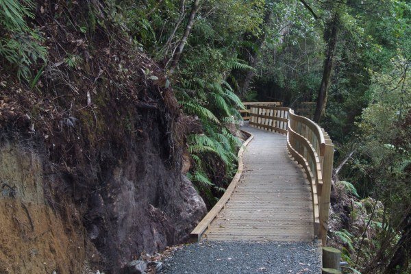 More of the wooden boardwalk