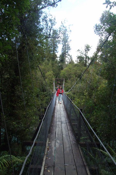 People walking on the swing bridge
