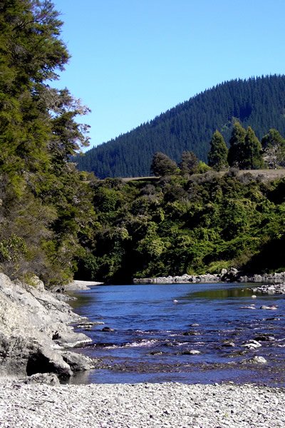 Pelorus Bridge, Water Falls Tramp - Track Point 4