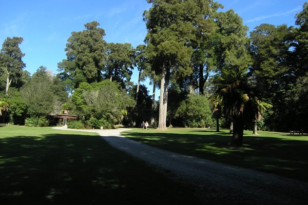 Pelorus Bridge, Water Falls Tramp - Start