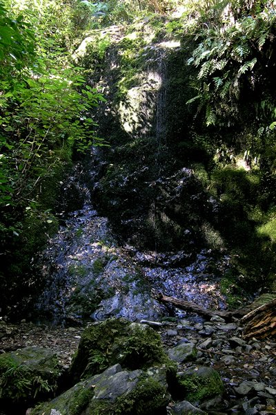Pelorus Bridge, Water Falls Tramp - Track Point 3