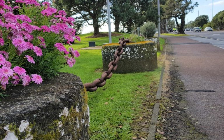Lovely flowers at the start of the Auckland waterfront walk