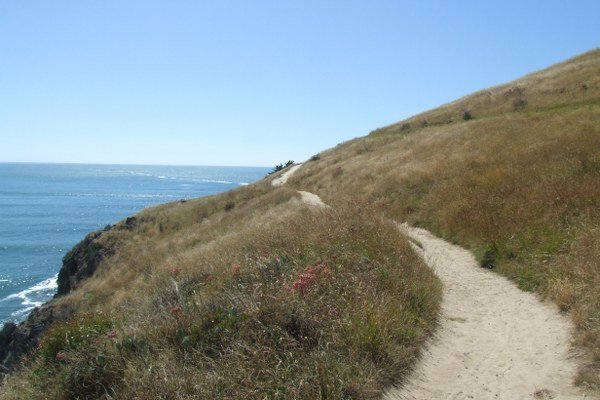 Walking track with great views along the way