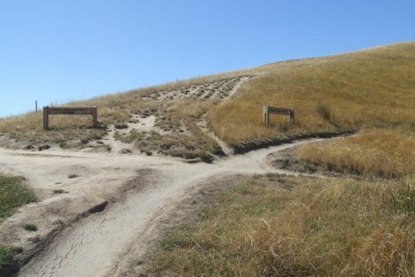 Godley Head Loop Track Walk - junction