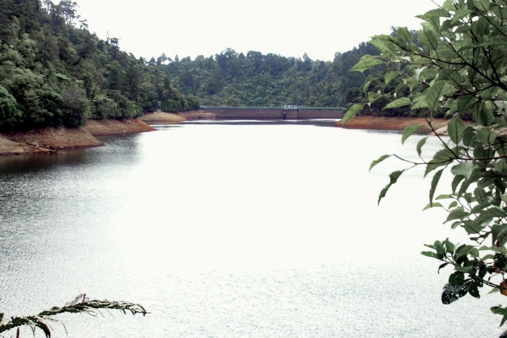 Nihotupu Reservoir