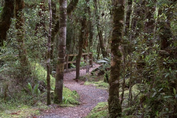 Gold Miners Inland Pack Track - Point 6