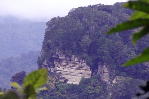 Gold Miners Inland Pack Track - Point 3