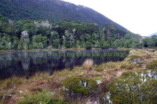 Cannibal Gorge, Lewis Pass Walk