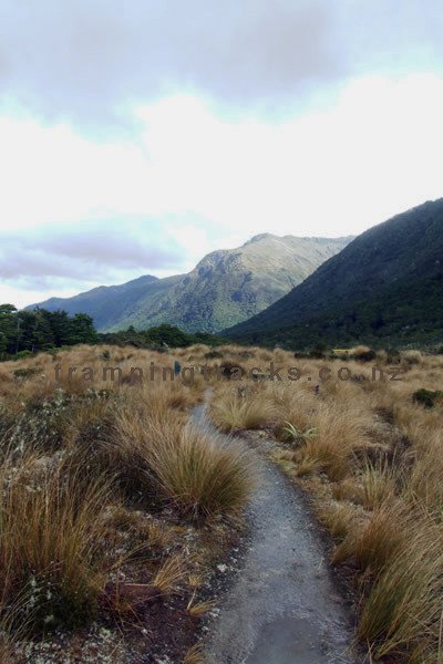 Cannibal Gorge, Lewis Pass Walk