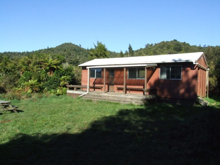 Karangahaka Gorge Walk To Wharawhara Road End