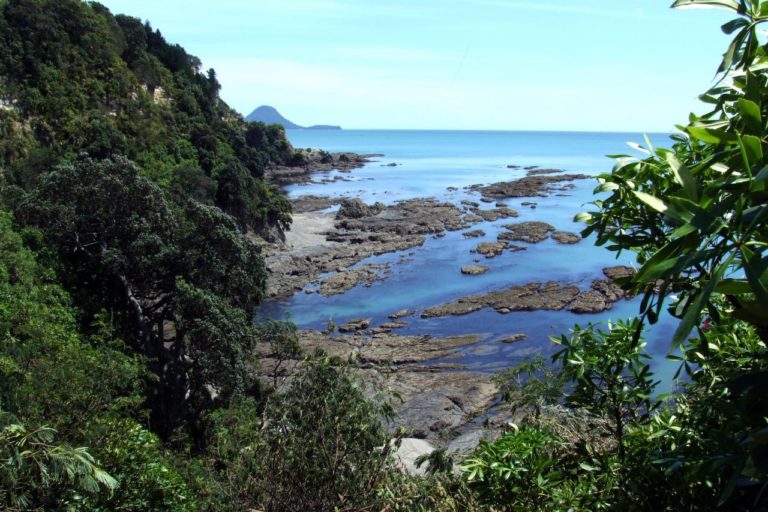 Kohi Point Walk
