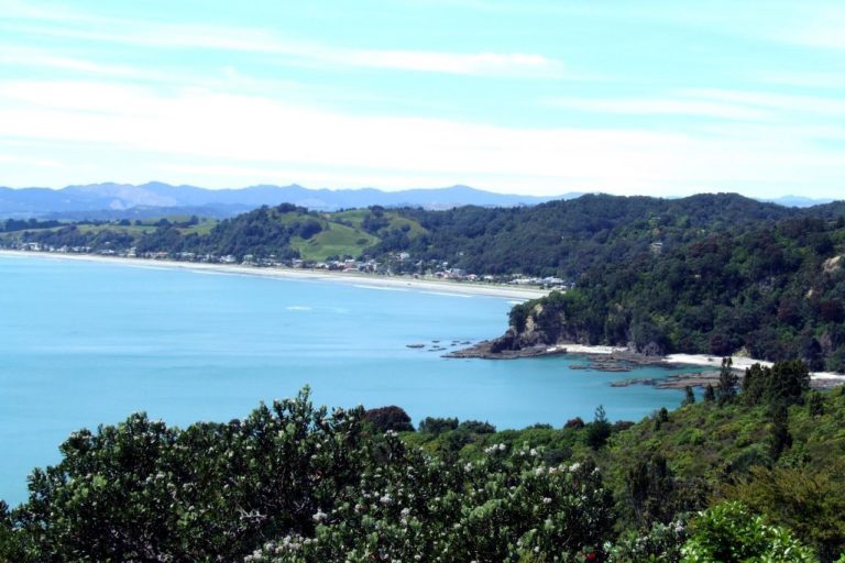 Kohi Point Walk