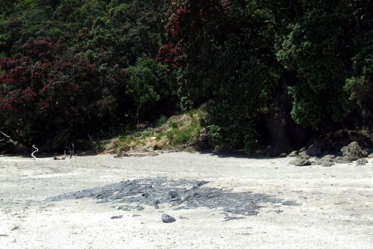 Kohi Point Walk