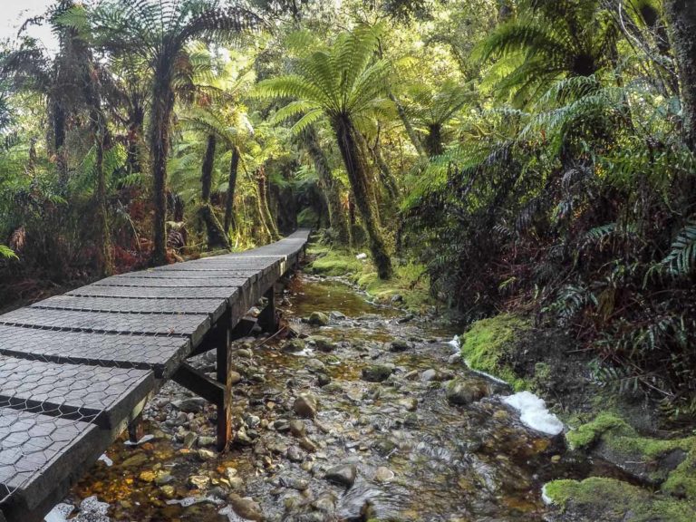 Creek crossing on the boardwalk