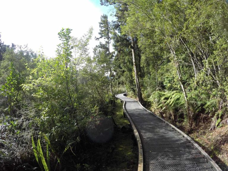 Excellent wide walking track around the lake