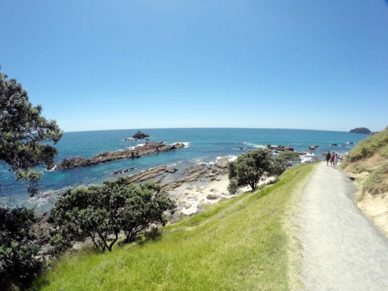 Mt Maunganui Base Track - Point 5