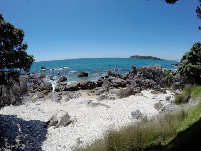 Mt Maunganui Base Track - Point 5