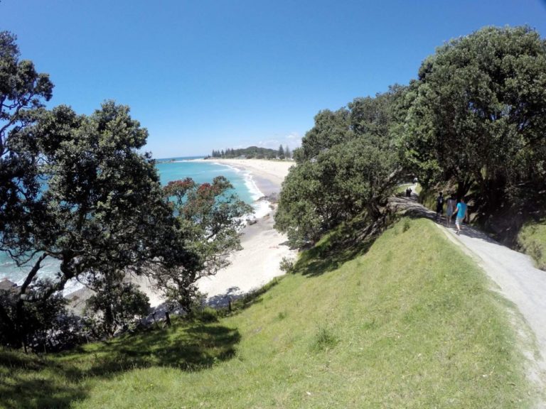 Mt Maunganui Base Track - Point 5