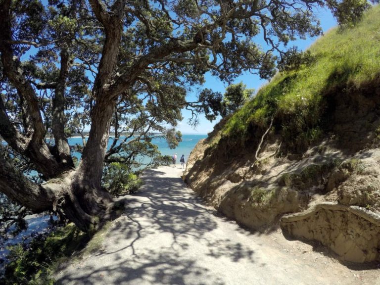 Mt Maunganui Base Track - Point 2
