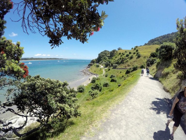 Mt Maunganui Bast Track - Point 3