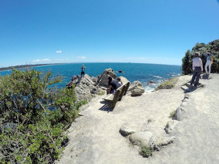Mt Maunganui Base Track - Point 4