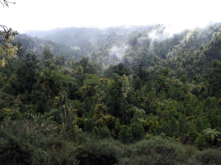 Mt Messenger to Kiwi Road