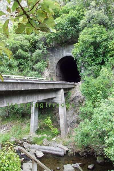 Ohau Waterfall Walk - Starts