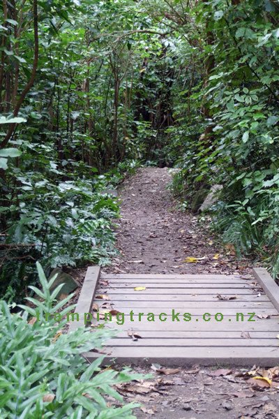 Ohau Waterfall Walk - Points 2