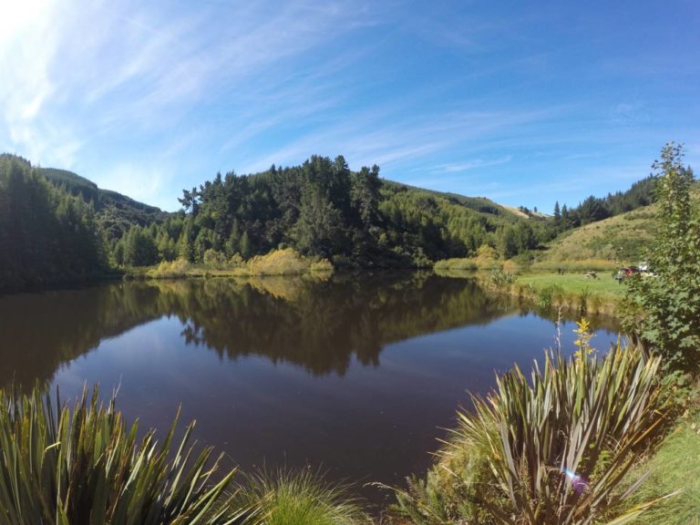 Gray's  Dam