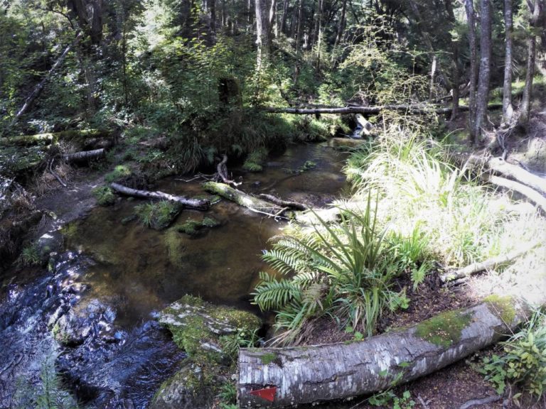 second creek crossing