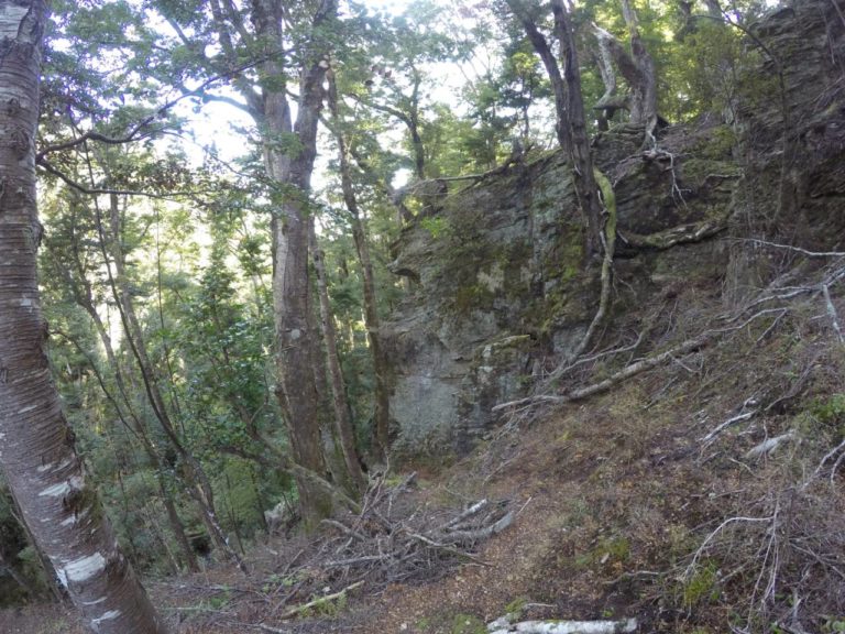 the climb