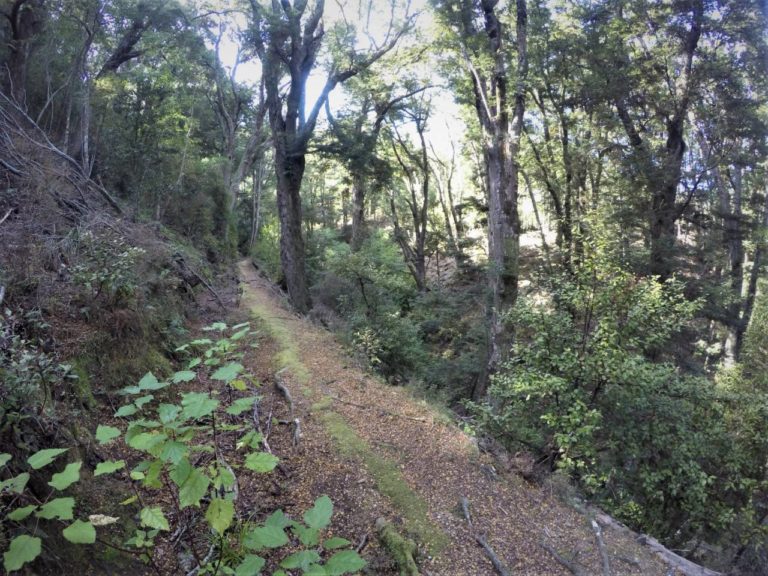 Otago Dam Walk - Gabriel's Gully