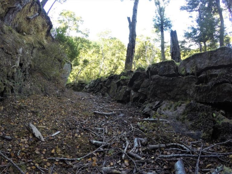 Otago Dam Walk - Gabriel's Gully