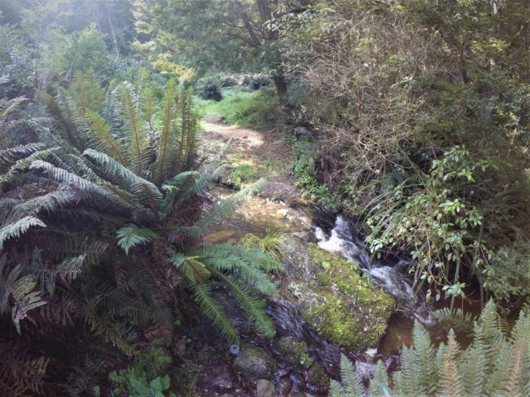 3rd creek crossing