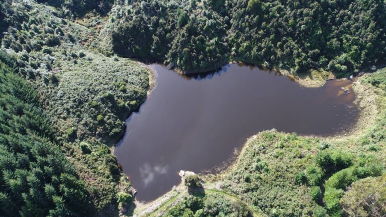 Otago Dam