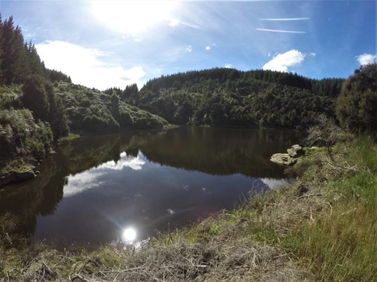 Otago Dam