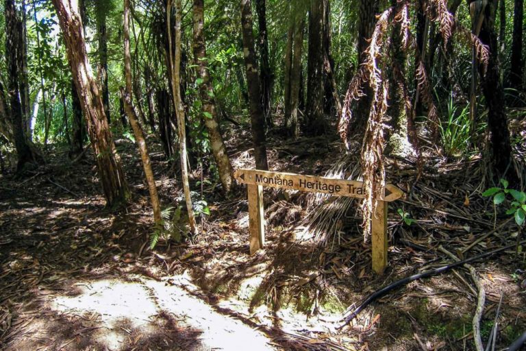 Cascade Walkway
