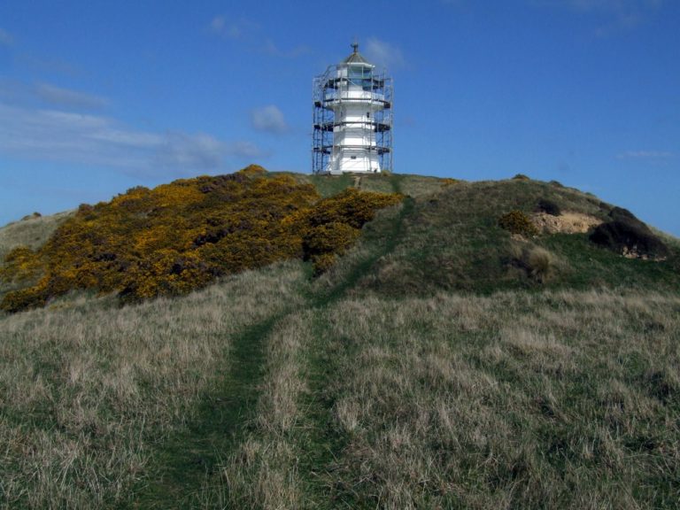 Pencarrow Lighthouse walk