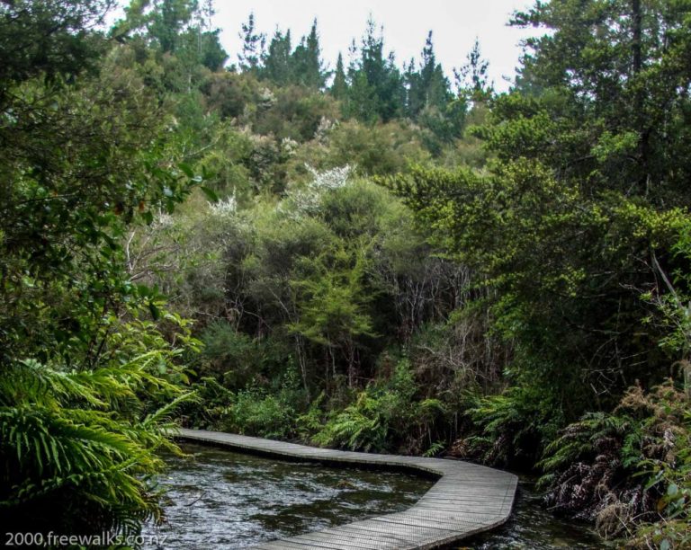 Pupu Springs board Walk